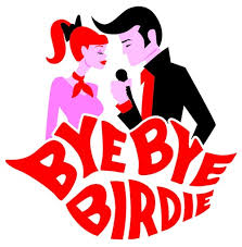 Birder Studio a Building Block for Bye Bye Birdie