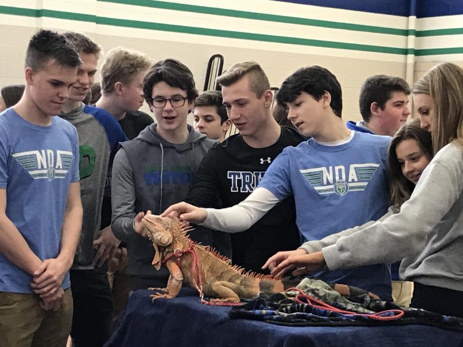 Reptile Day:  Students Favorite Day of Year?
