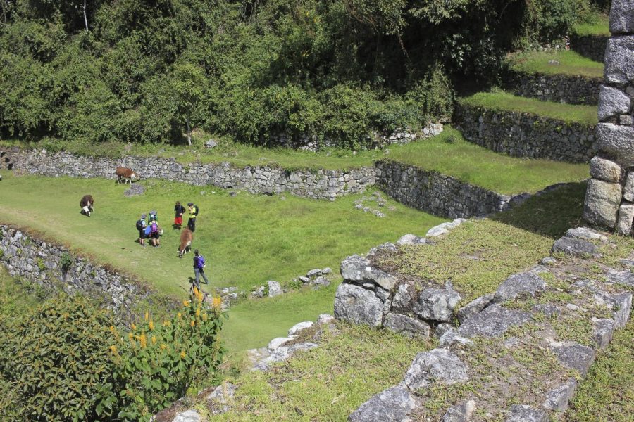 Dorys Will Lead Trip to Machu Picchu in June 2021, Info Available