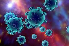 Coronavirus: Topic of Talk & Precaution at NDA