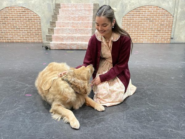 Musical Cast Full of First-Time Performers--Including Sandy, a Dog!