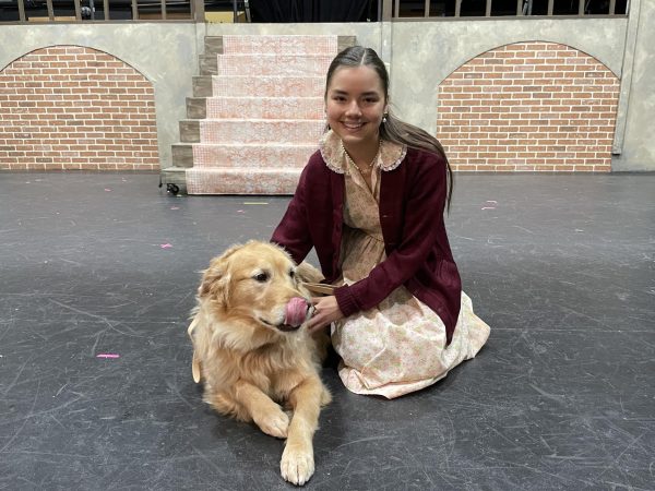 Q & A with Sandy, Dog Star of Musical