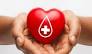 Red Cross Summer Blood Drive Set for Wednesday, June 19, at NDA