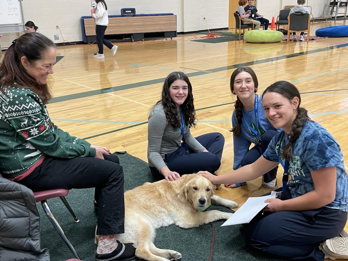 De-Stress Fest a Great Success with Students